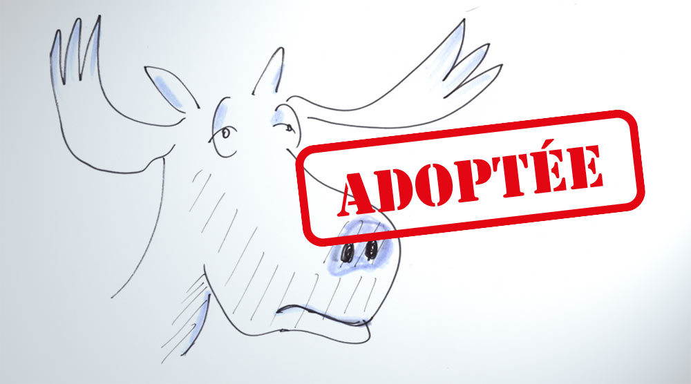 adoption de la loi Elan