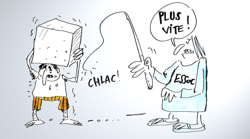Le pari de la loi ESSOC